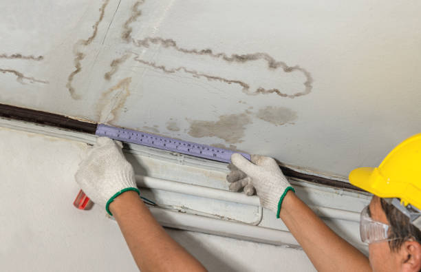 Reliable Burst Pipe Cleanup contractor in Stotts City, MO by Water Damage Irwin